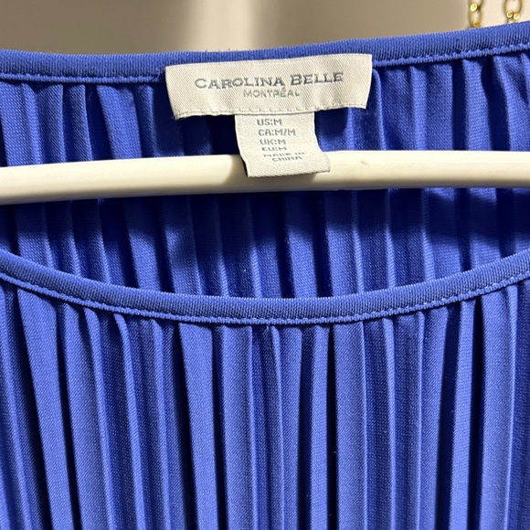 Carolina Belle Blue Pleated Dress - Picture 2 of 3